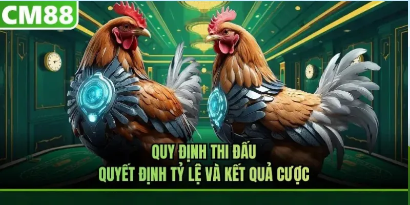 Cách cược đá gà thường gắn với những nội dung nào?
